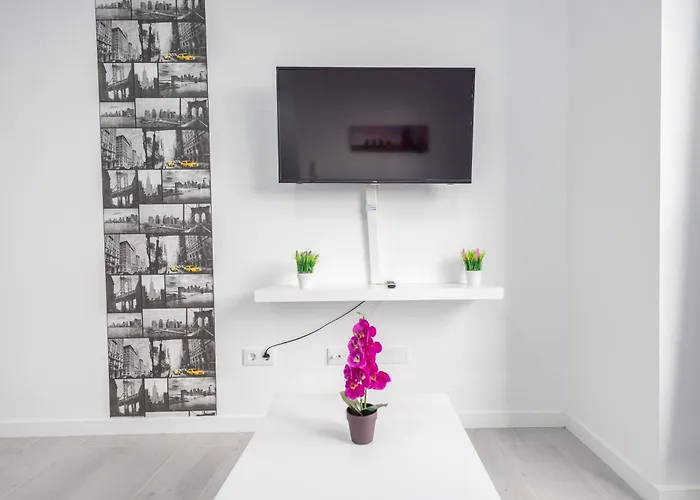 Lightbooking 7 Palmas Estadio - Gran Canaria Arena